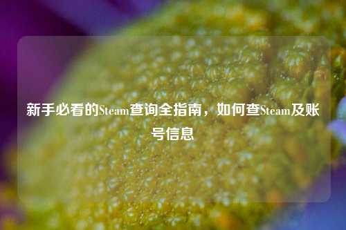 新手必看的Steam查询全指南，如何查Steam及账号信息