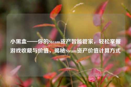 小黑盒——你的Steam资产智能管家，轻松掌握游戏收藏与价值，揭秘Steam资产价值计算方式