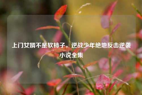 上门女婿不是软柿子，逆战少年绝地反击逆袭小说全集