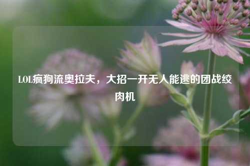 LOL疯狗流奥拉夫，大招一开无人能逃的团战绞肉机