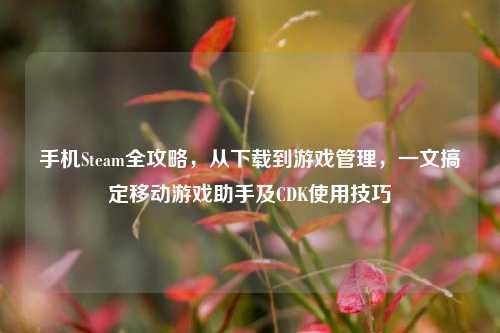 手机Steam全攻略，从下载到游戏管理，一文搞定移动游戏助手及CDK使用技巧