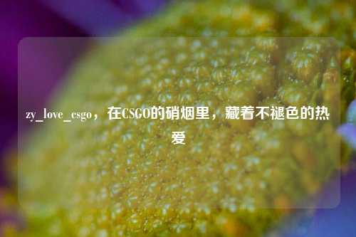 zy_love_csgo，在CSGO的硝烟里，藏着不褪色的热爱