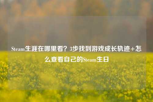 Steam生涯在哪里看？3步找到游戏成长轨迹+怎么查看自己的Steam生日