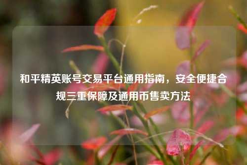 和平精英账号交易平台通用指南，安全便捷合规三重保障及通用币售卖方法
