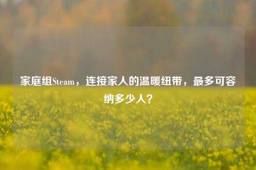 家庭组Steam，连接家人的温暖纽带，最多可容纳多少人？