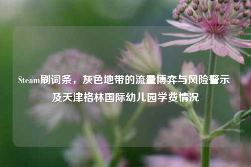 Steam刷词条，灰色地带的流量博弈与风险警示 及天津格林国际幼儿园学费情况