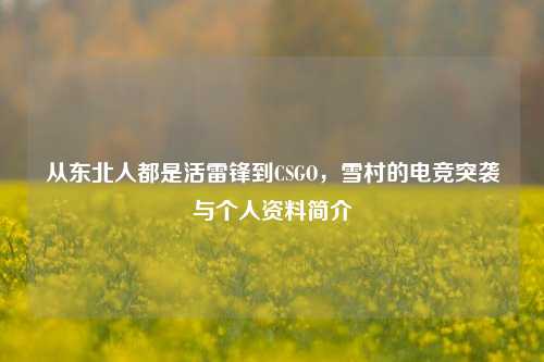 从东北人都是活雷锋到CSGO，雪村的电竞突袭与个人资料简介