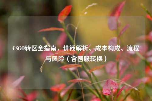 CSGO转区全指南，价钱解析、成本构成、流程与风险（含国服转换）