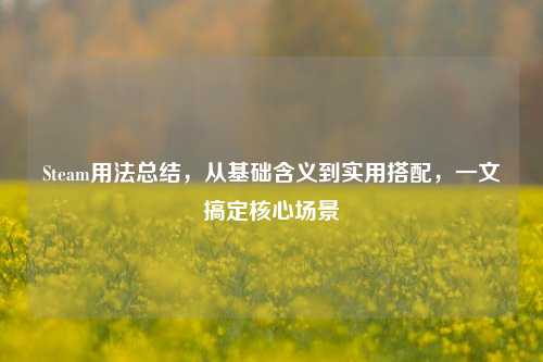 Steam用法总结，从基础含义到实用搭配，一文搞定核心场景