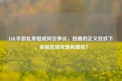 LOL手游乱举报成风引争议,扭曲的正义狂欢下,举报选项究竟有哪些?