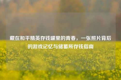 藏在和平精英存钱罐里的青春，一张照片背后的游戏记忆与储蓄所存钱指南