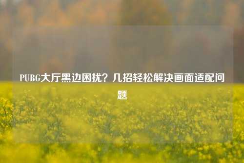 PUBG大厅黑边困扰？几招轻松解决画面适配问题