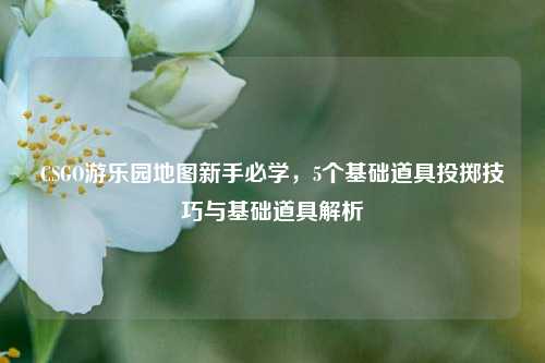 CSGO游乐园地图新手必学，5个基础道具投掷技巧与基础道具解析