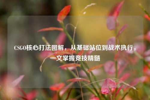CSGO核心打法图解，从基础站位到战术执行，一文掌握竞技精髓