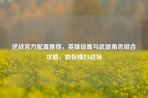 逆战官方配置推荐，英雄设置与武器角色组合攻略，助你横扫战场