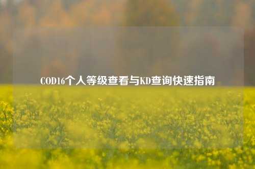 COD16个人等级查看与KD查询快速指南