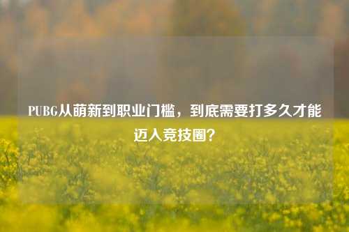 PUBG从萌新到职业门槛，到底需要打多久才能迈入竞技圈？