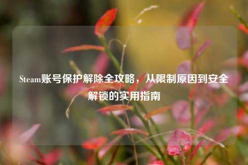 Steam账号保护解除全攻略，从限制原因到安全解锁的实用指南