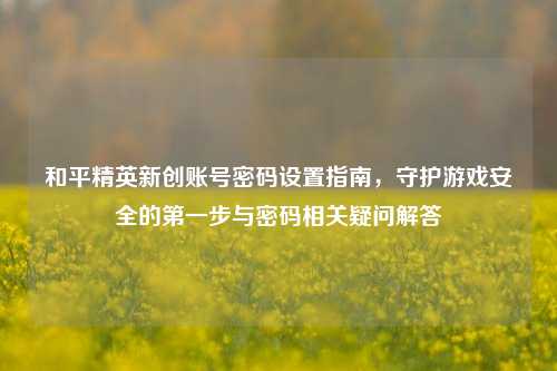 和平精英新创账号密码设置指南，守护游戏安全的第一步与密码相关疑问解答
