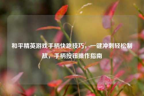 和平精英游戏手柄快跑技巧，一键冲刺轻松制敌，手柄按钮操作指南