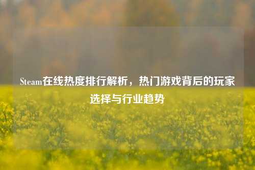 Steam在线热度排行解析，热门游戏背后的玩家选择与行业趋势