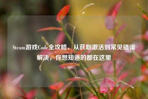 Steam游戏Code全攻略，从获取激活到常见错误解决，你想知道的都在这里