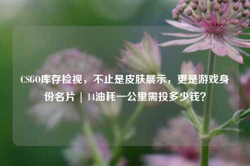 CSGO库存检视，不止是皮肤展示，更是游戏身份名片 | 14油耗一公里需投多少钱？