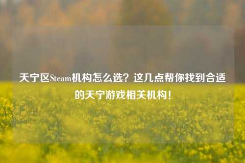 天宁区Steam机构怎么选？这几点帮你找到合适的天宁游戏相关机构！