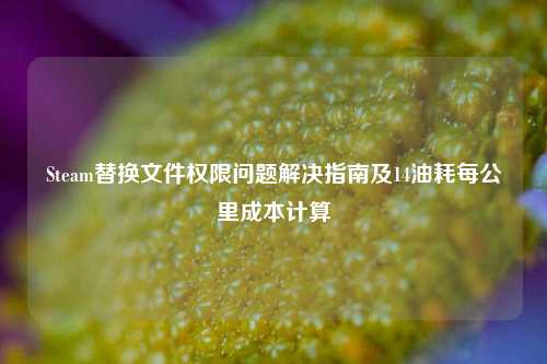 Steam替换文件权限问题解决指南及14油耗每公里成本计算