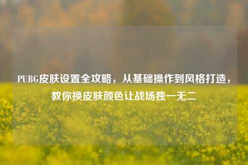 PUBG皮肤设置全攻略，从基础操作到风格打造，教你换皮肤颜色让战场独一无二
