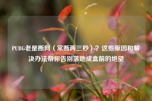PUBG老是断网（常断两三秒）？这些原因和解决办法帮你告别落地成盒前的绝望