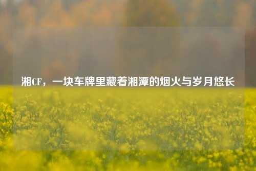 湘CF，一块车牌里藏着湘潭的烟火与岁月悠长