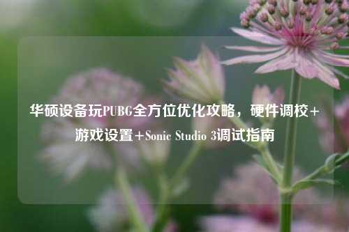华硕设备玩PUBG全方位优化攻略，硬件调校+游戏设置+Sonic Studio 3调试指南