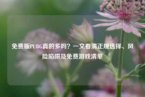 免费版PUBG真的多吗？一文看清正规选择、风险陷阱及免费游戏清单