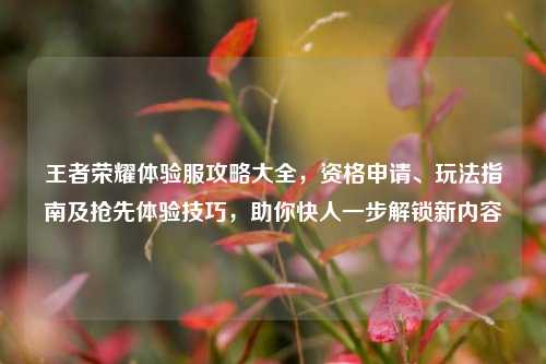 王者荣耀体验服攻略大全，资格申请、玩法指南及抢先体验技巧，助你快人一步解锁新内容