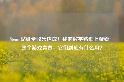 Steam贴纸全收集达成！我的数字贴纸上藏着一整个游戏青春，它们到底有什么用？