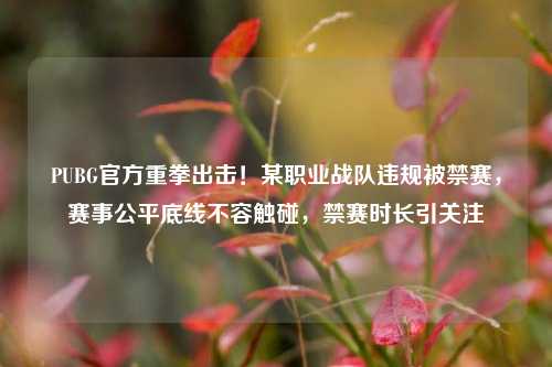 PUBG官方重拳出击！某职业战队违规被禁赛，赛事公平底线不容触碰，禁赛时长引关注