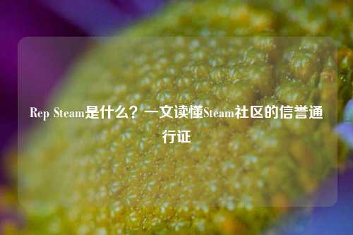 Rep Steam是什么？一文读懂Steam社区的信誉通行证