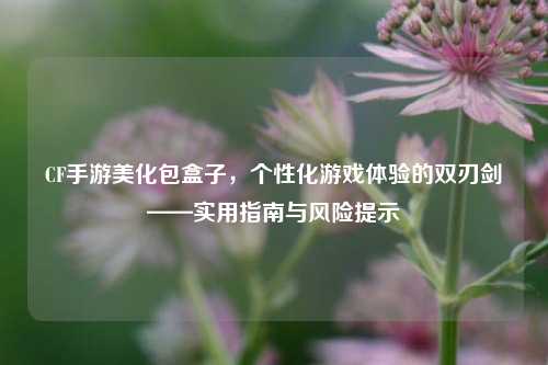 CF手游美化包盒子，个性化游戏体验的双刃剑——实用指南与风险提示