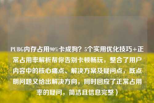 PUBG内存占用90%卡成狗？5个实用优化技巧+正常占用率解析帮你告别卡顿畅玩，整合了用户内容中的核心痛点、解决方案及疑问点，既点明问题又给出解决方向，同时回应了正常占用率的疑问，简洁且信息完整）