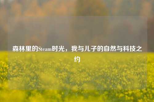 森林里的Steam时光，我与儿子的自然与科技之约