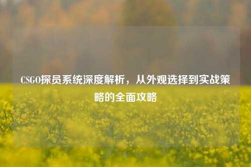 CSGO探员系统深度解析，从外观选择到实战策略的全面攻略