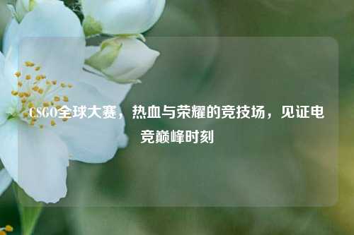 CSGO全球大赛，热血与荣耀的竞技场，见证电竞巅峰时刻
