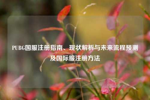 PUBG国服注册指南、现状解析与未来流程预测及国际服注册方法