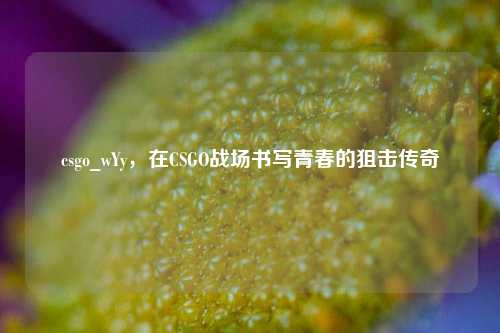 csgo_wYy，在CSGO战场书写青春的狙击传奇