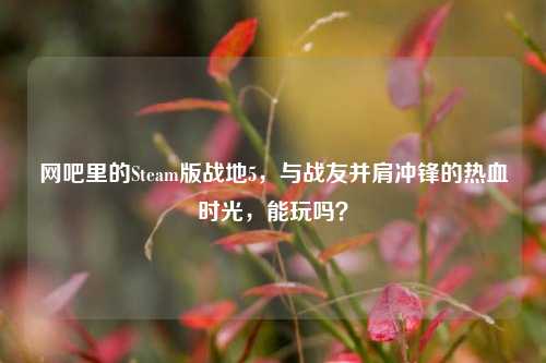 网吧里的Steam版战地5，与战友并肩冲锋的热血时光，能玩吗？