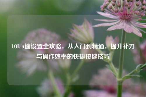 LOL A键设置全攻略，从入门到精通，提升补刀与操作效率的快捷按键技巧