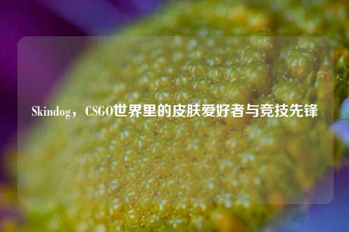 Skindog，CSGO世界里的皮肤爱好者与竞技先锋