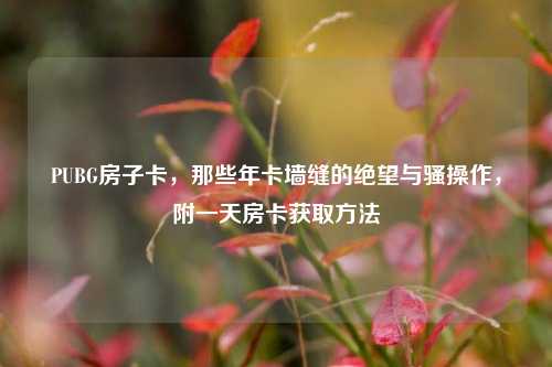 PUBG房子卡，那些年卡墙缝的绝望与骚操作，附一天房卡获取方法