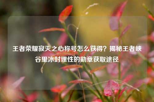 王者荣耀寂灭之心称号怎么获得？揭秘王者峡谷里冰封理性的勋章获取途径